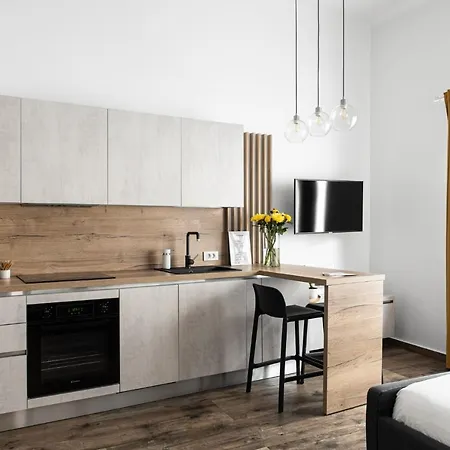 Διαμέρισμα Ultracentral Studio Iuliu Maniu