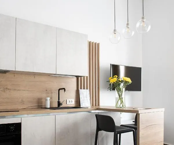 Ultracentral Studio Iuliu Maniu 克卢日-纳波卡