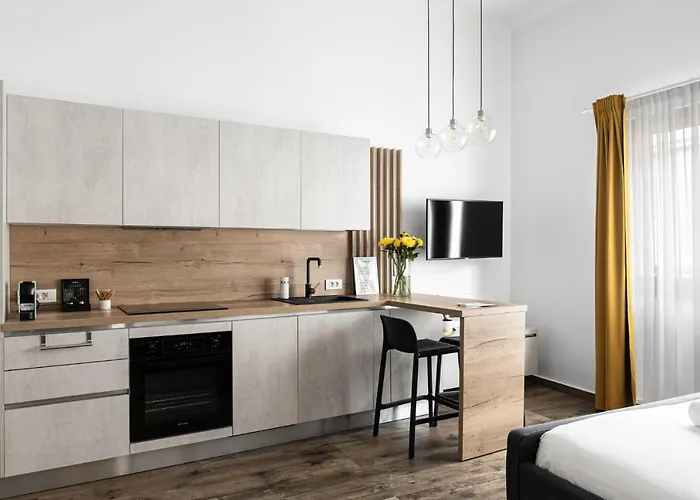 Appartement Ultracentral Studio Iuliu Maniu