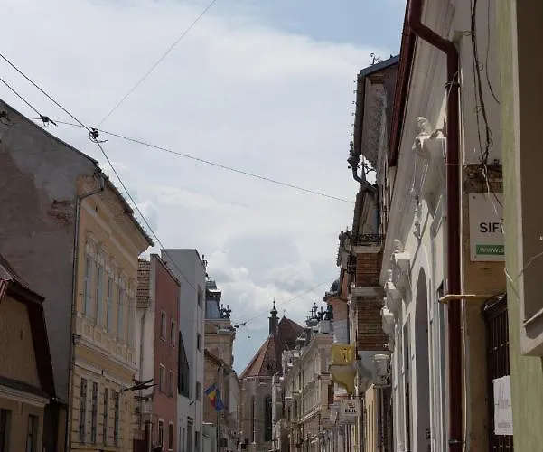 公寓 Ultracentral Studio Iuliu Maniu